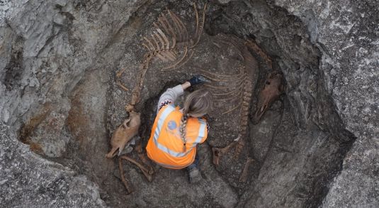School children from Burwell dressed in construction PPE visiting an archaeological dig where bones from the bronze age are discovered